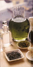 �A�i�`�������t�B�[�����O�E�N���[��