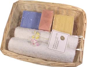 �o�X�P�b�g�M�t�g20-2