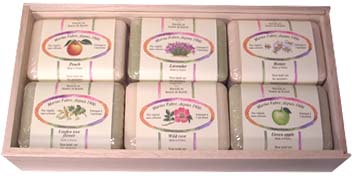 �T�{���h�}���Z�C���@�M�t�g