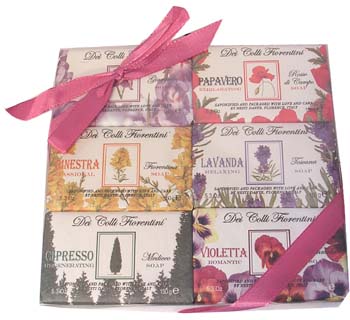 �l�X�e�B�E�_���e�@�t�����[�\�[�v�E�M�t�g