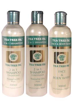 �e�B�[�c���[�V���[�Y