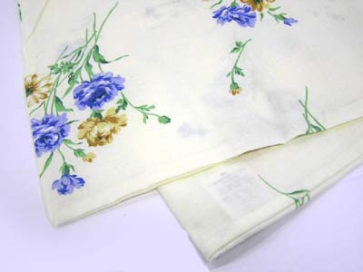 ���J�o�[�s���A�e�B