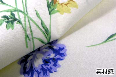 ���J�o�[�s���A�e�B