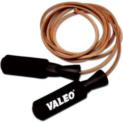 �G�O�[���b�N�X�@�m�[�o�[�X�g�{�f�B�{�[���@�u���[�@65cm