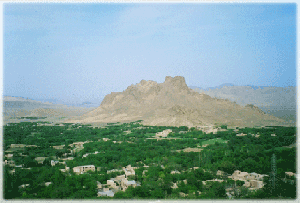 �L�����L���X�R