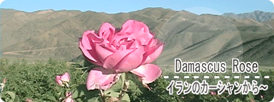 �o���̐����̃^�C�g��