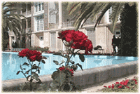 ���[�Y�K�[�f��